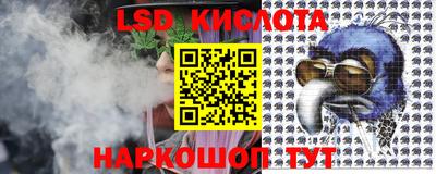 стаф Обнинск
