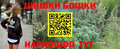 стаф Обнинск