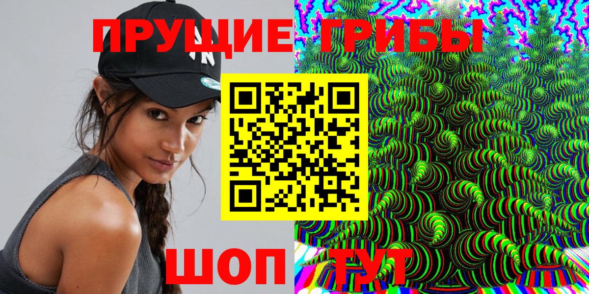 Северобайкальск  Галлюциногенные грибы прущие грибы  Вход с VPN 